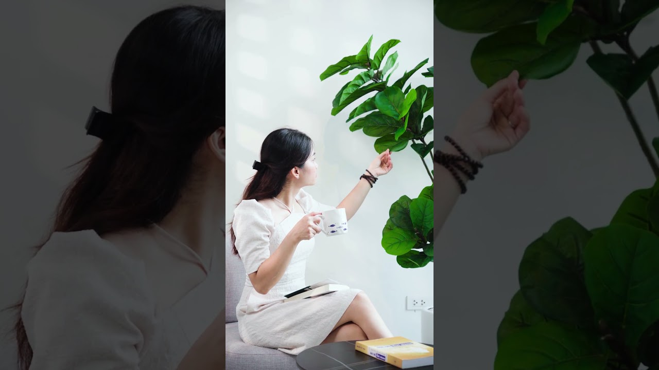 Góc Chữa Lành Tại Gia: Khám Phá Bí Quyết Decor Sách Và Cây Giả Cao Cấp