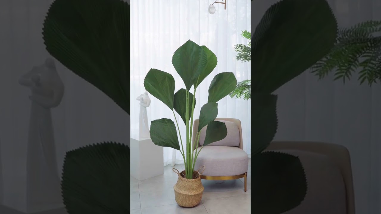 Siêu phẩm mẫu cây cọ Nhật giả đã có tại ATZ DECOR