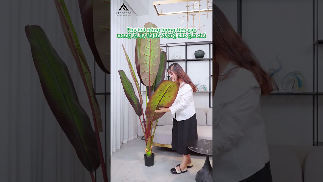 Unbox cây chuối chân voi giả decor không gian thêm độc đáo