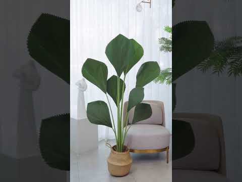 Siêu phẩm mẫu cây cọ Nhật giả đã có tại ATZ DECOR