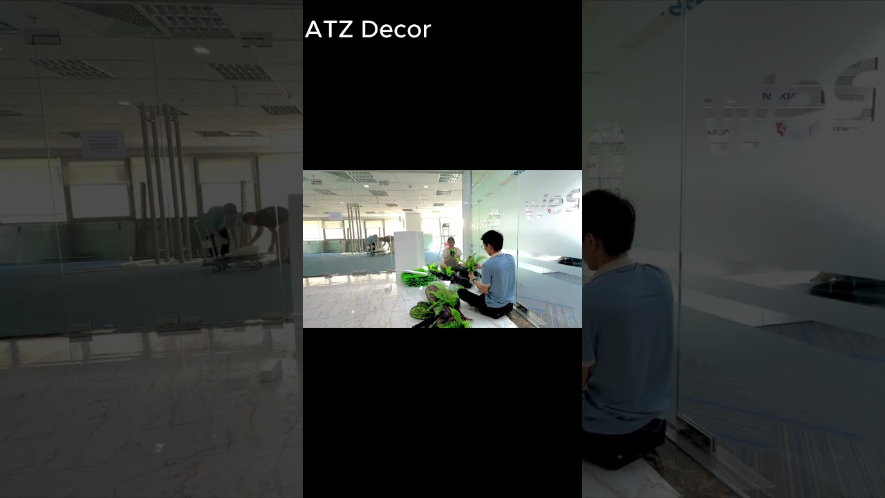 YouTube video player