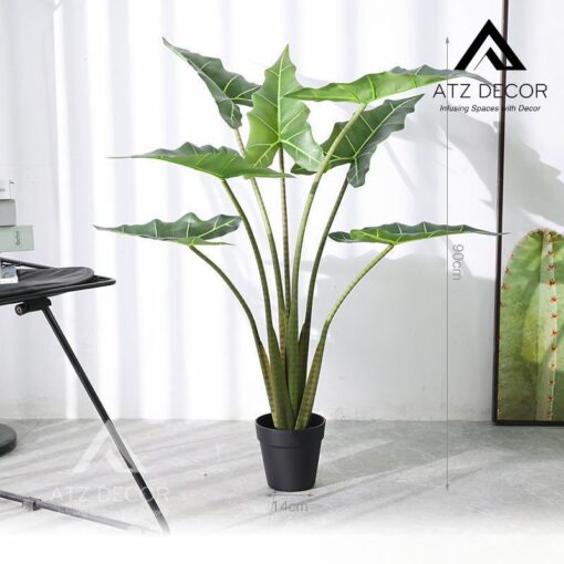 Cay mon ngua Salian Alocasia 90cm