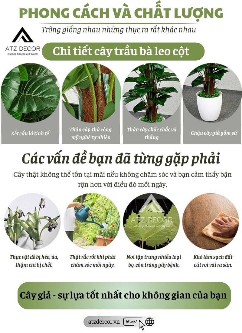 Cầy trầu bà leo cột giả