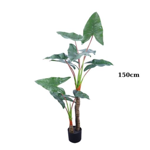 cay ray Alocasia Frydek 150cm