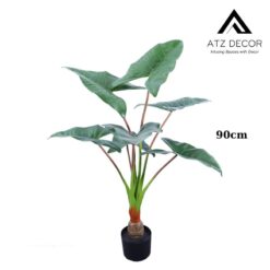 cay ray Alocasia Frydek 90cm