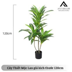 cay thiet moc lan gia 120cm