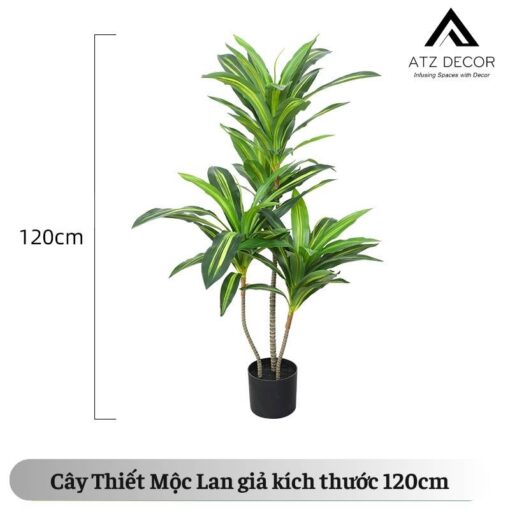 cay thiet moc lan gia 120cm