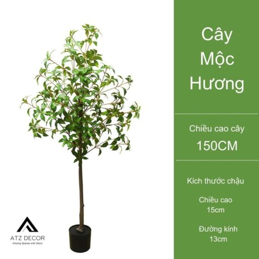 mua cây mộc hương giả đẹp