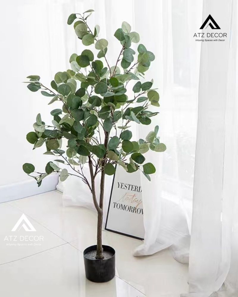 Mô tả cây kim tiền lá tròn giả decor