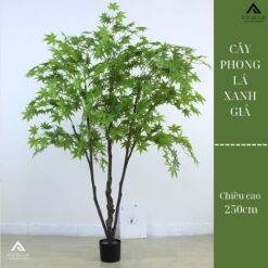 Cây phong lá xanh giả