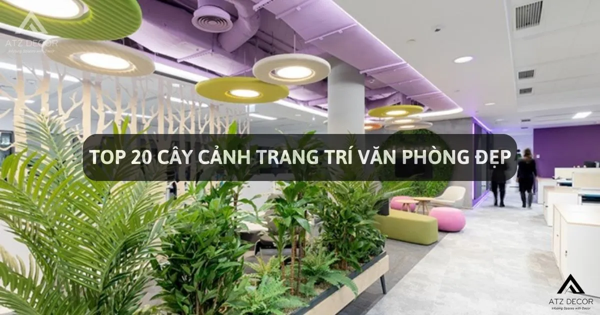 TOP 20 CÂY CẢNH TRANG TRÍ VĂN PHÒNG (1)