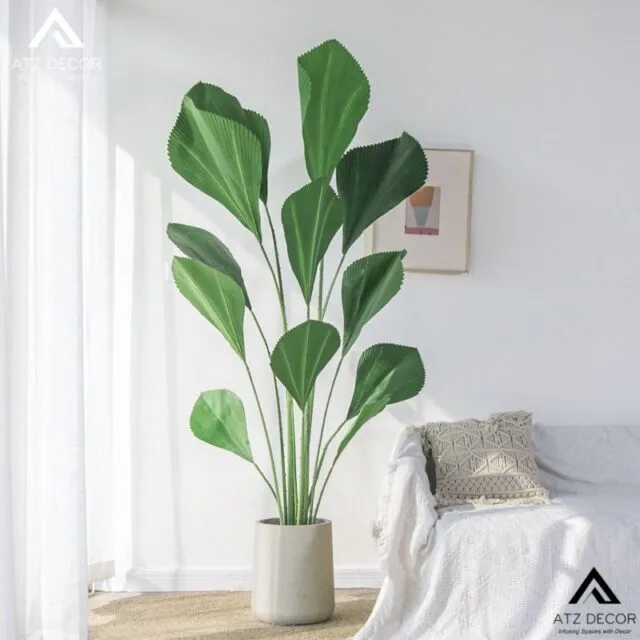 Trang chủ 23 cây cọ nhật bản giả
