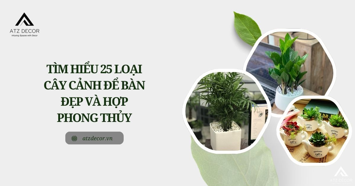 cây cảnh để bàn