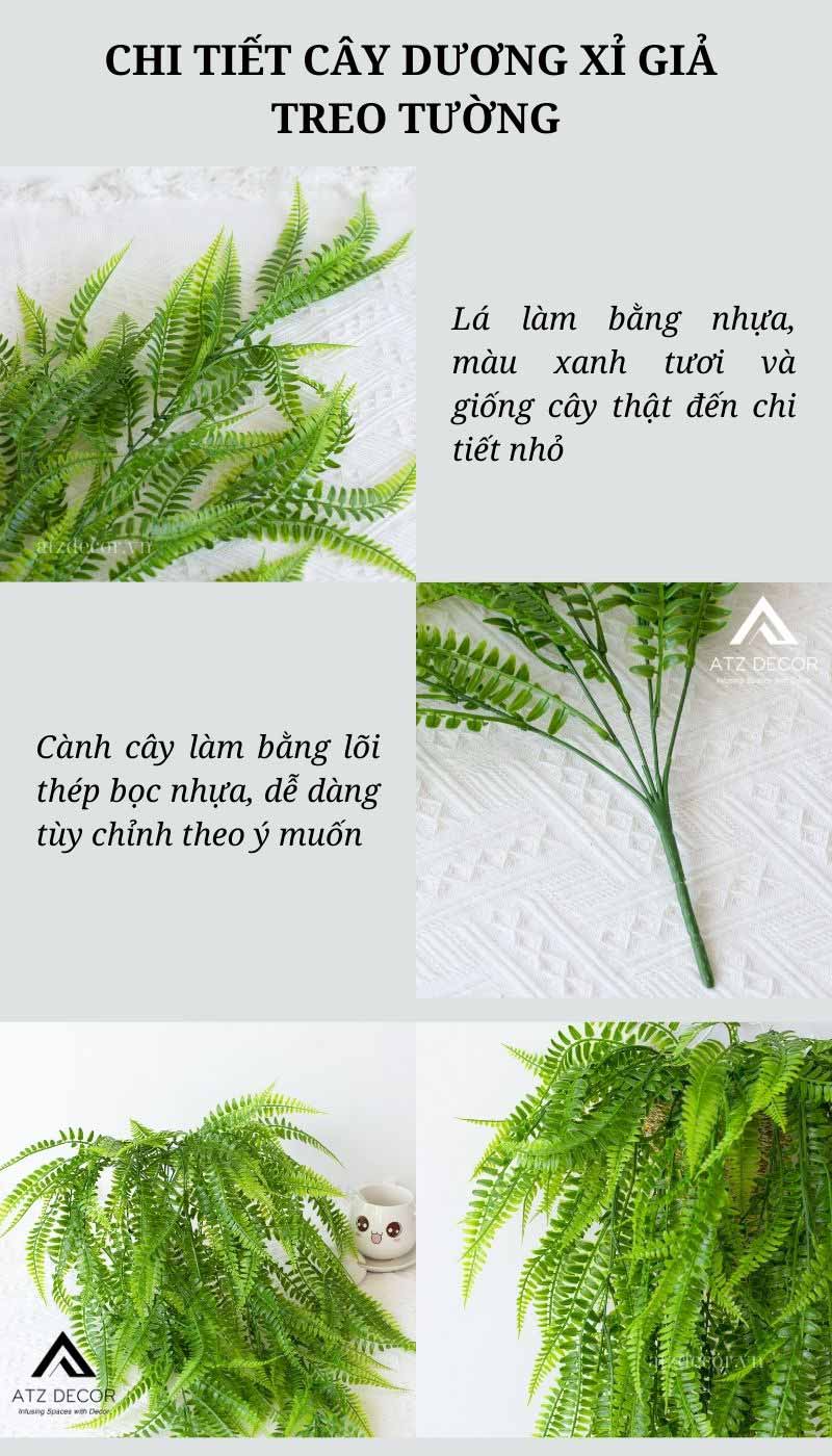 cây dương xỉ giả treo tường