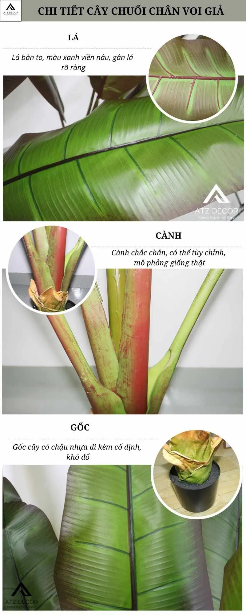 chi tiết cây chuối chân voi giả