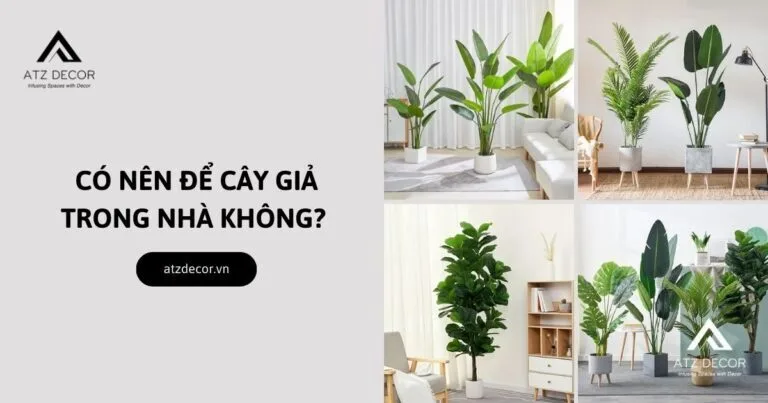co nen de cay gia trong nha