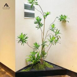 tiểu cảnh cây giả