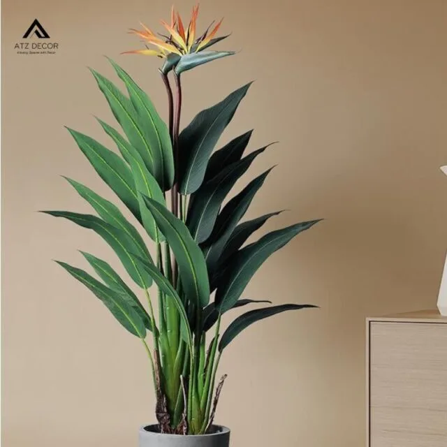 cây hoa thiên điểu giả