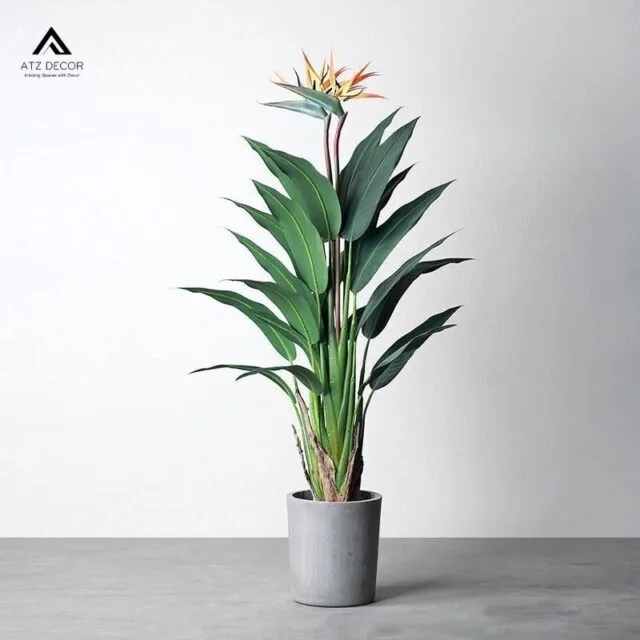 Trang chủ 25 cây hoa thiên điểu giả