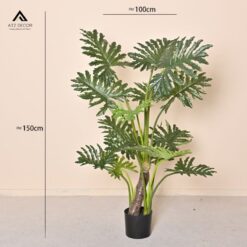 cây khoai nước giả