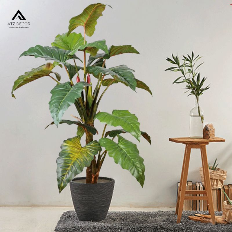 Cây khoai nước giả đa dạng hình dáng, đủ mọi kích thước chọn lựa 15 cay khoai nuoc gia dep