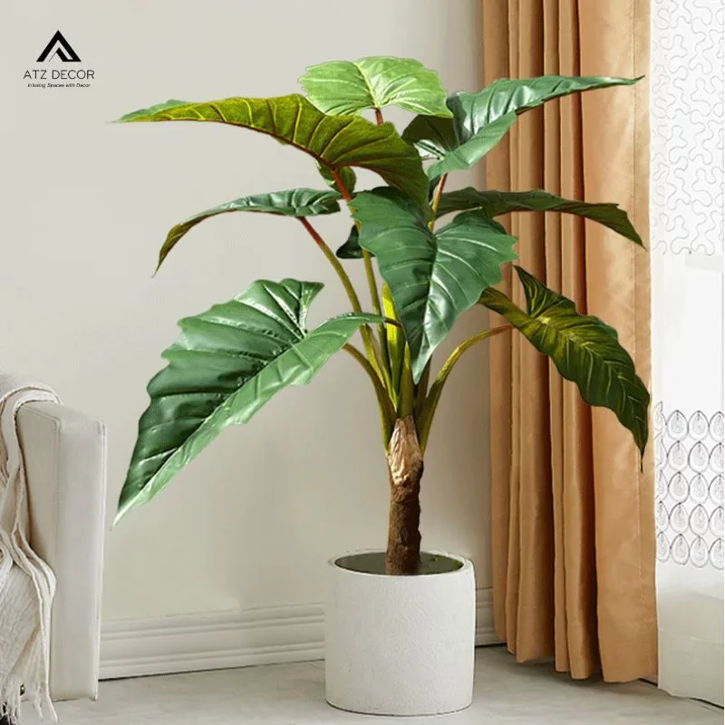 Cây khoai nước giả đa dạng hình dáng, đủ mọi kích thước chọn lựa 3 cay khoai nuoc gia dep