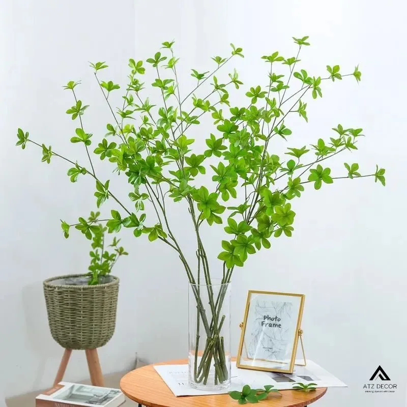 cây thạch nam giả