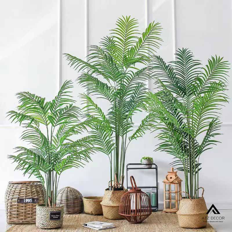 cây dừa giả