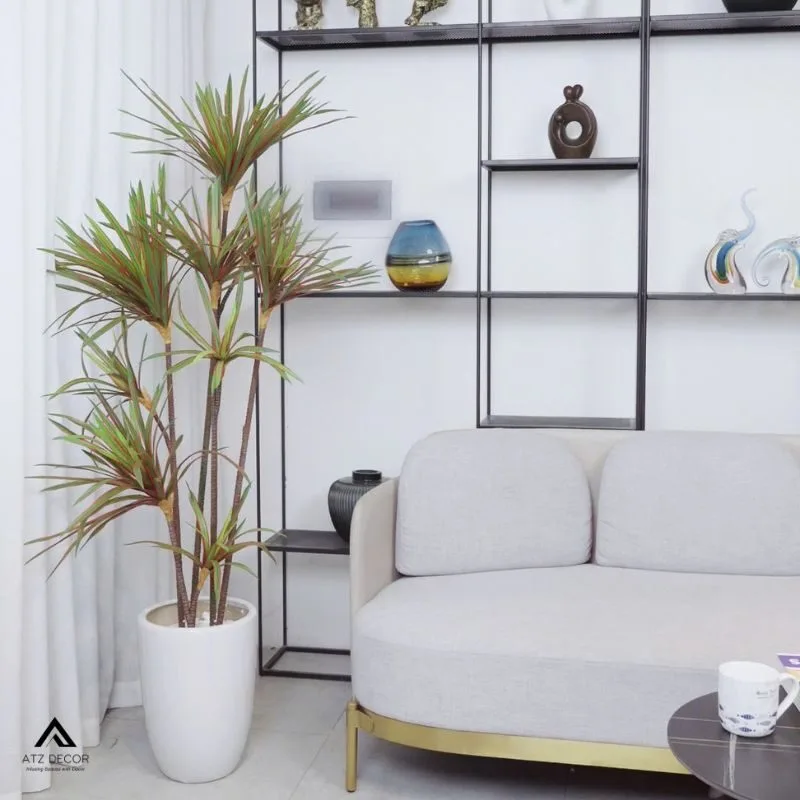 cây huyết dụ giả