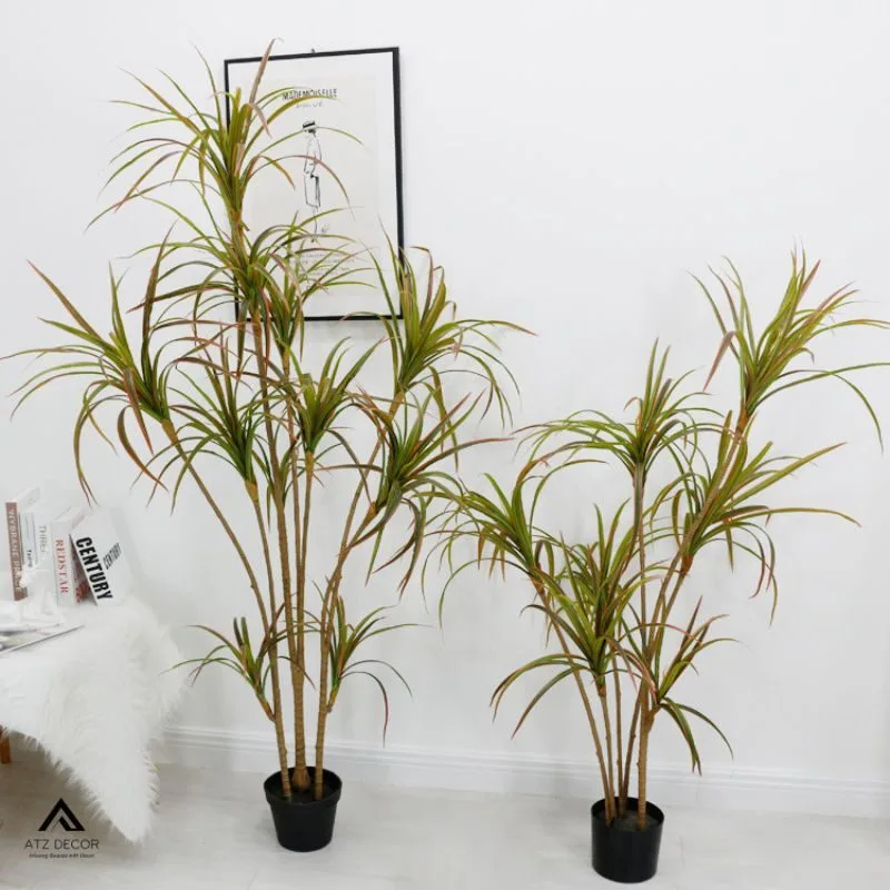 cây huyết dụ giả