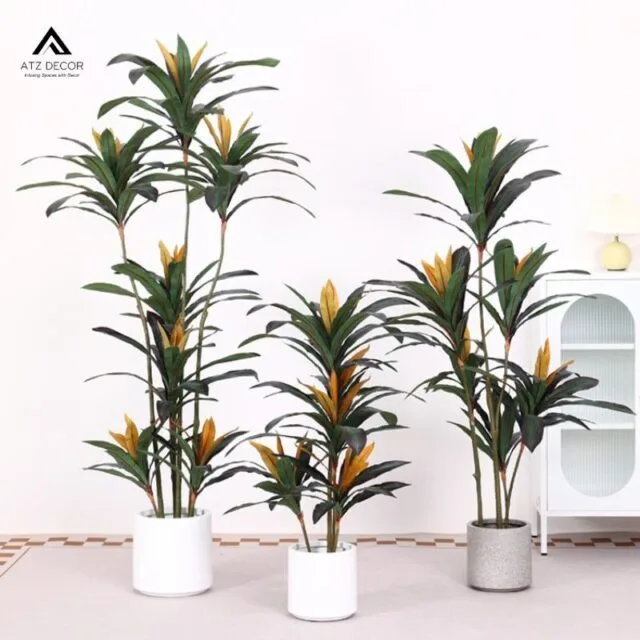 cây thiết mộc lan đỏ giả