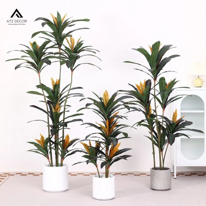 cây thiết mộc lan đỏ giả