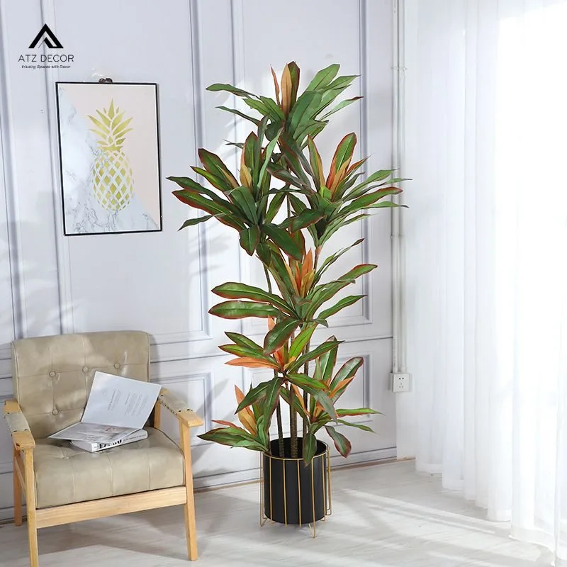 cây thiết mộc lan đỏ giả