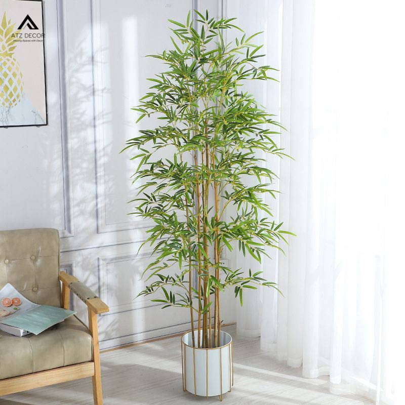 cây tre trúc giả