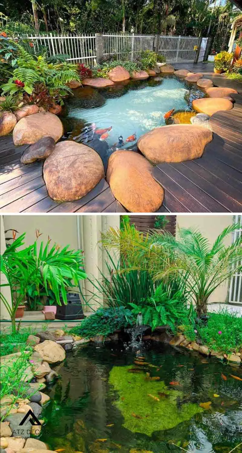 tiểu cảnh hồ cá