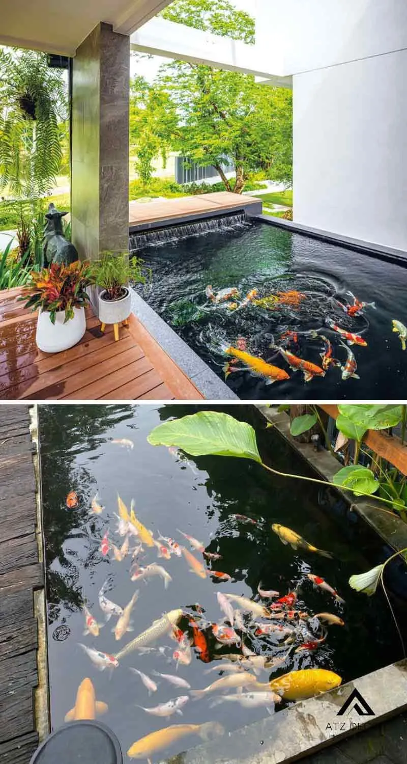 tiểu cảnh hồ cá