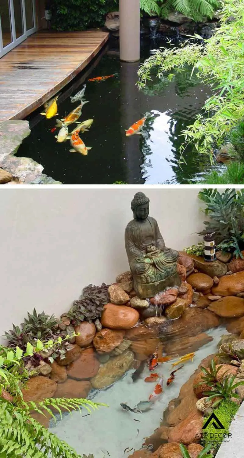 tiểu cảnh hồ cá