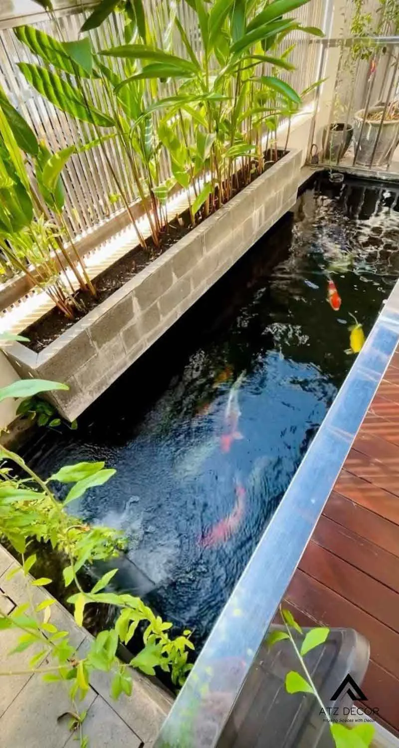 tiểu cảnh hồ cá