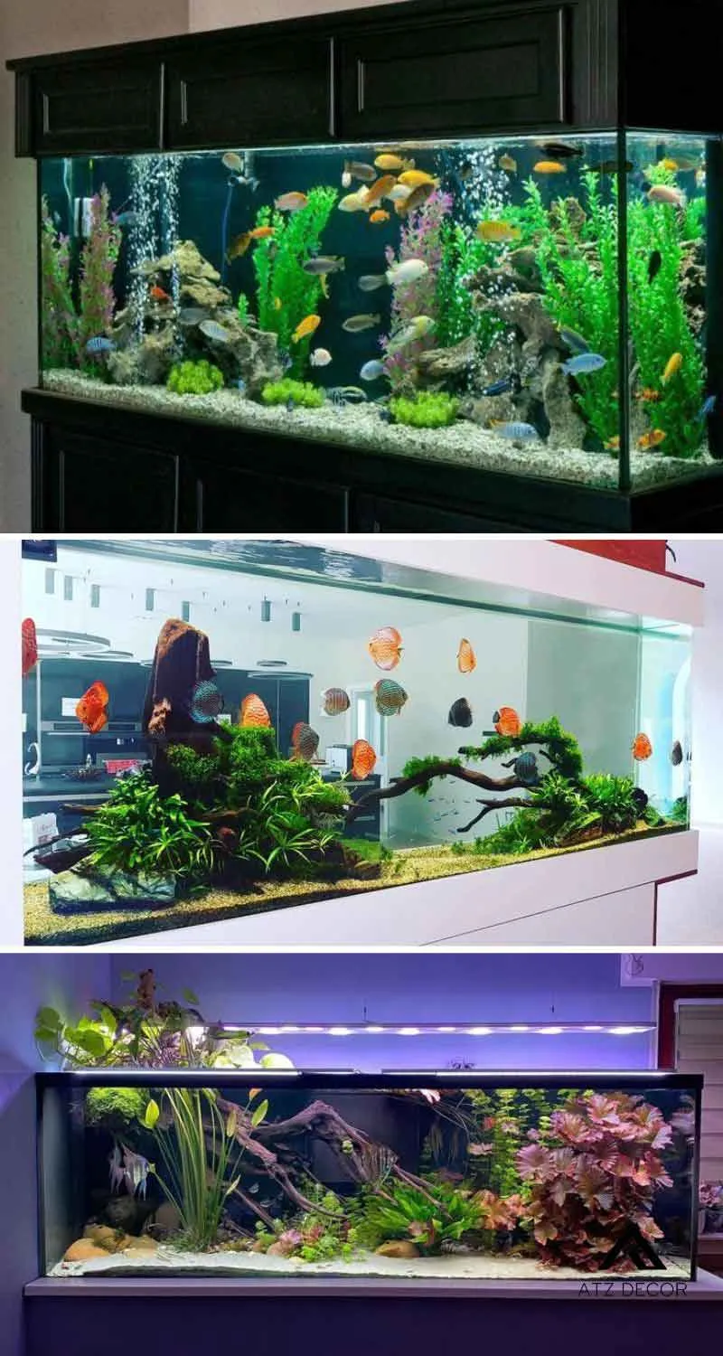 tiểu cảnh hồ cá