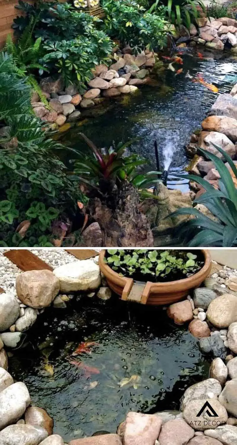 tiểu cảnh hồ cá