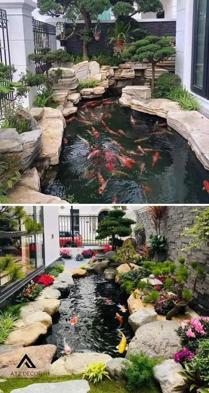 tiểu cảnh hồ cá