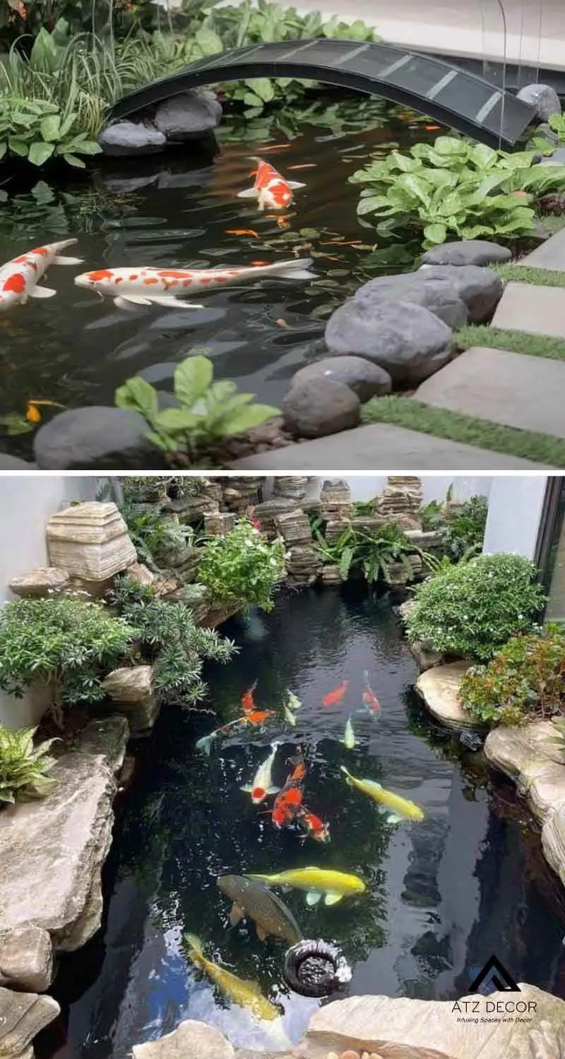 tiểu cảnh hồ cá