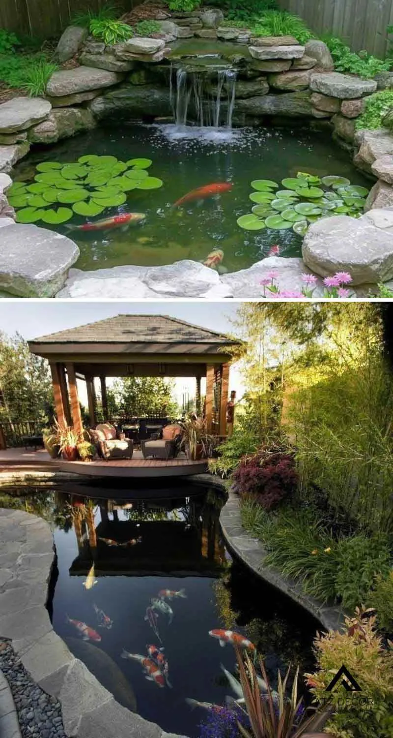 tiểu cảnh hồ cá