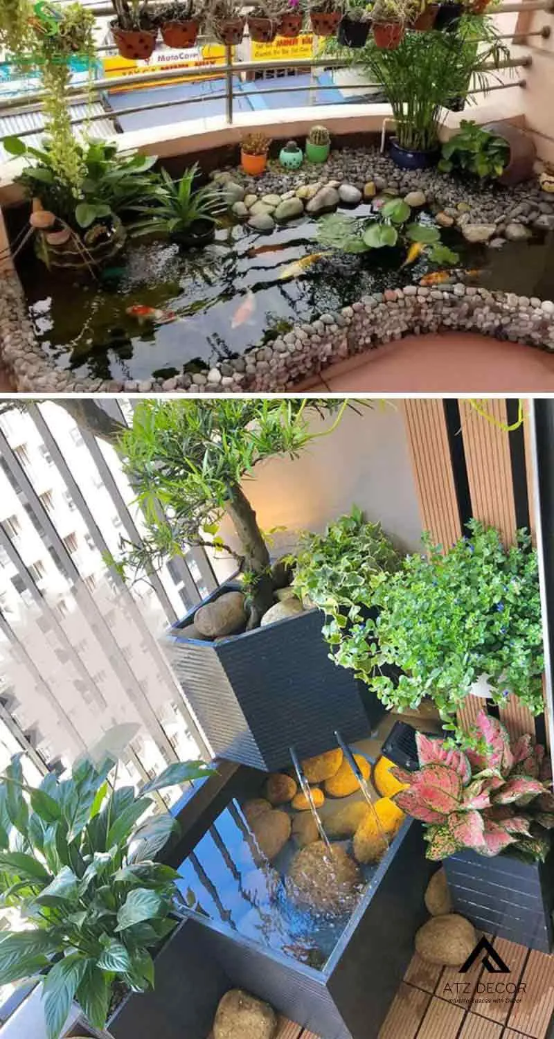 tiểu cảnh hồ cá