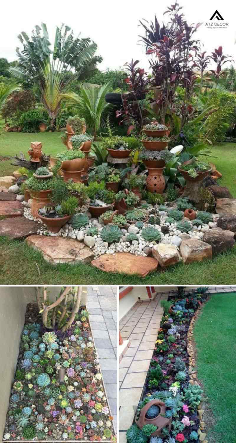 Top những mẫu tiểu cảnh sen đá đẹp, tô điểm mọi không gian sống 16 tiểu cảnh sen đá