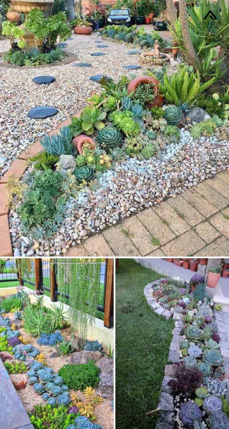 Top những mẫu tiểu cảnh sen đá đẹp, tô điểm mọi không gian sống 17 tiểu cảnh sen đá