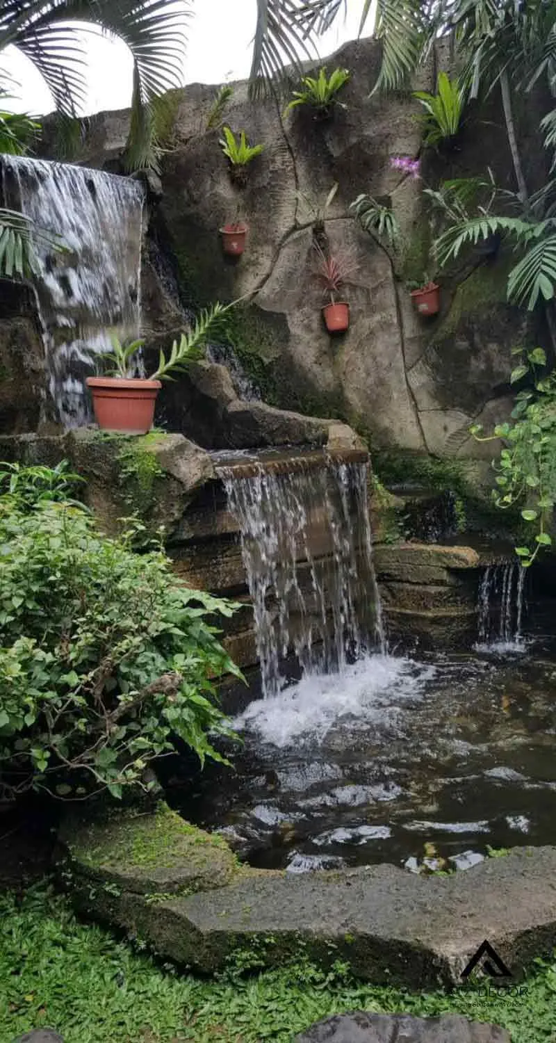 tiểu cảnh hồ cá