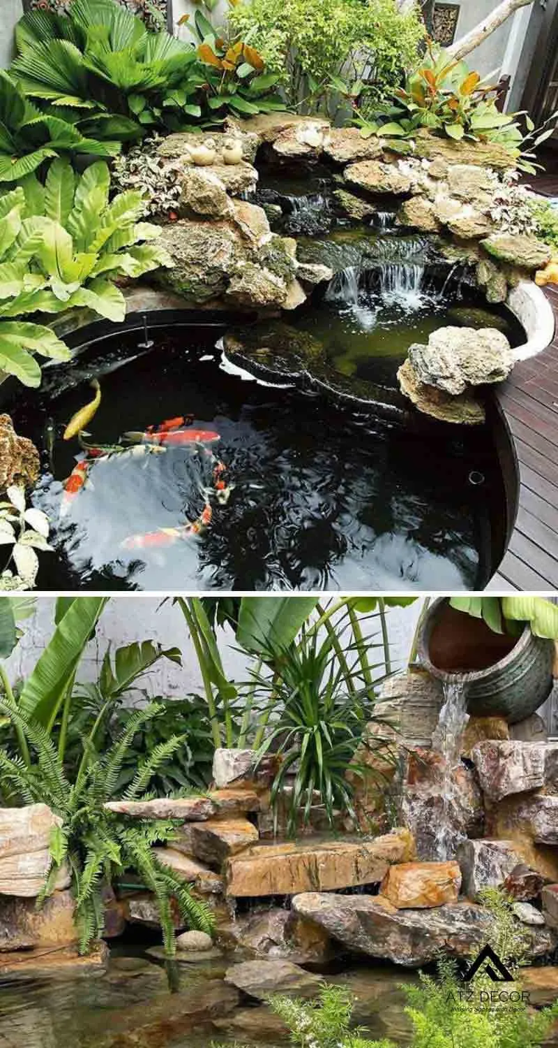 tiểu cảnh hồ cá