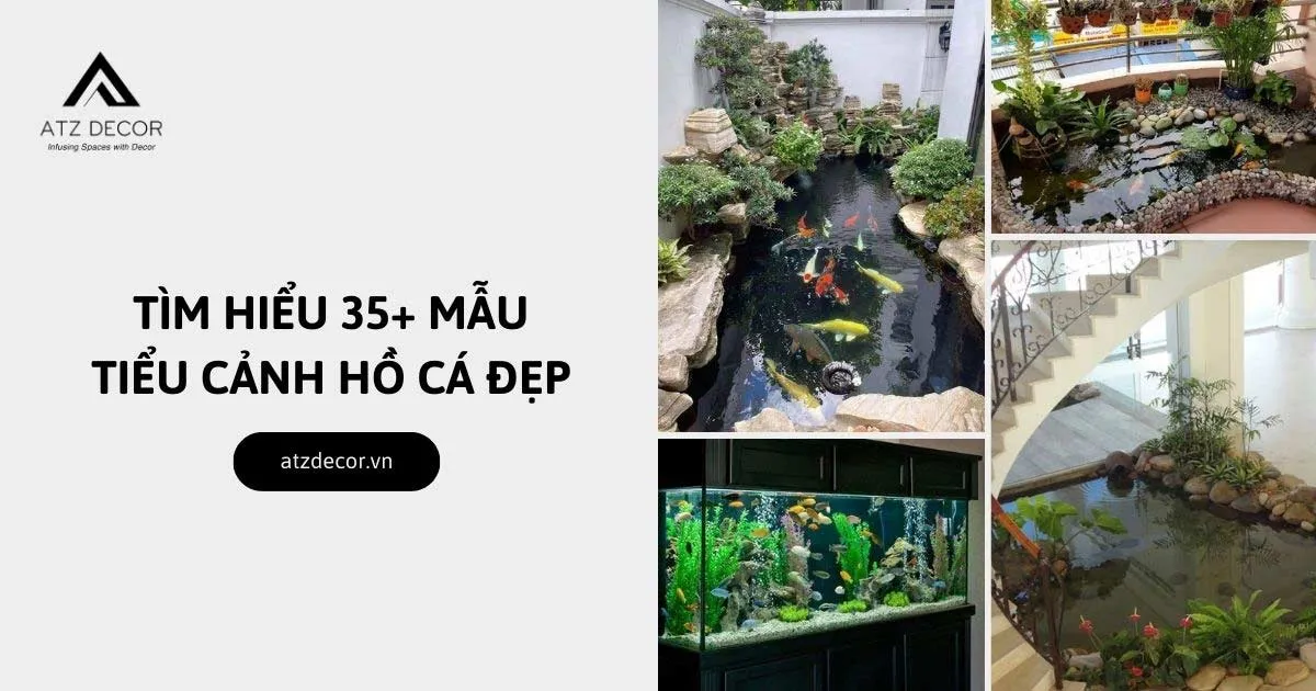 tiểu cảnh hồ cá