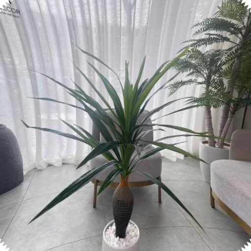 cây thiết mộc lan thân tròn giả